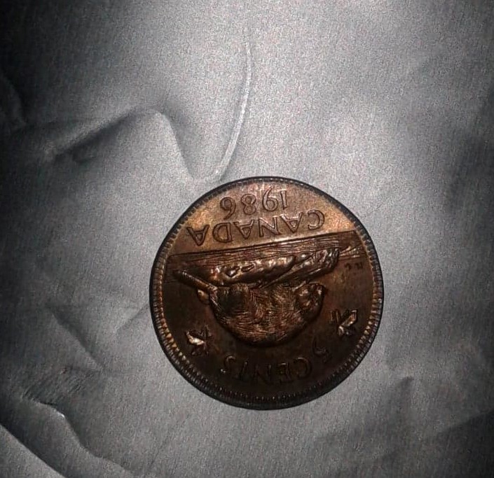 tails copper penny.jpg