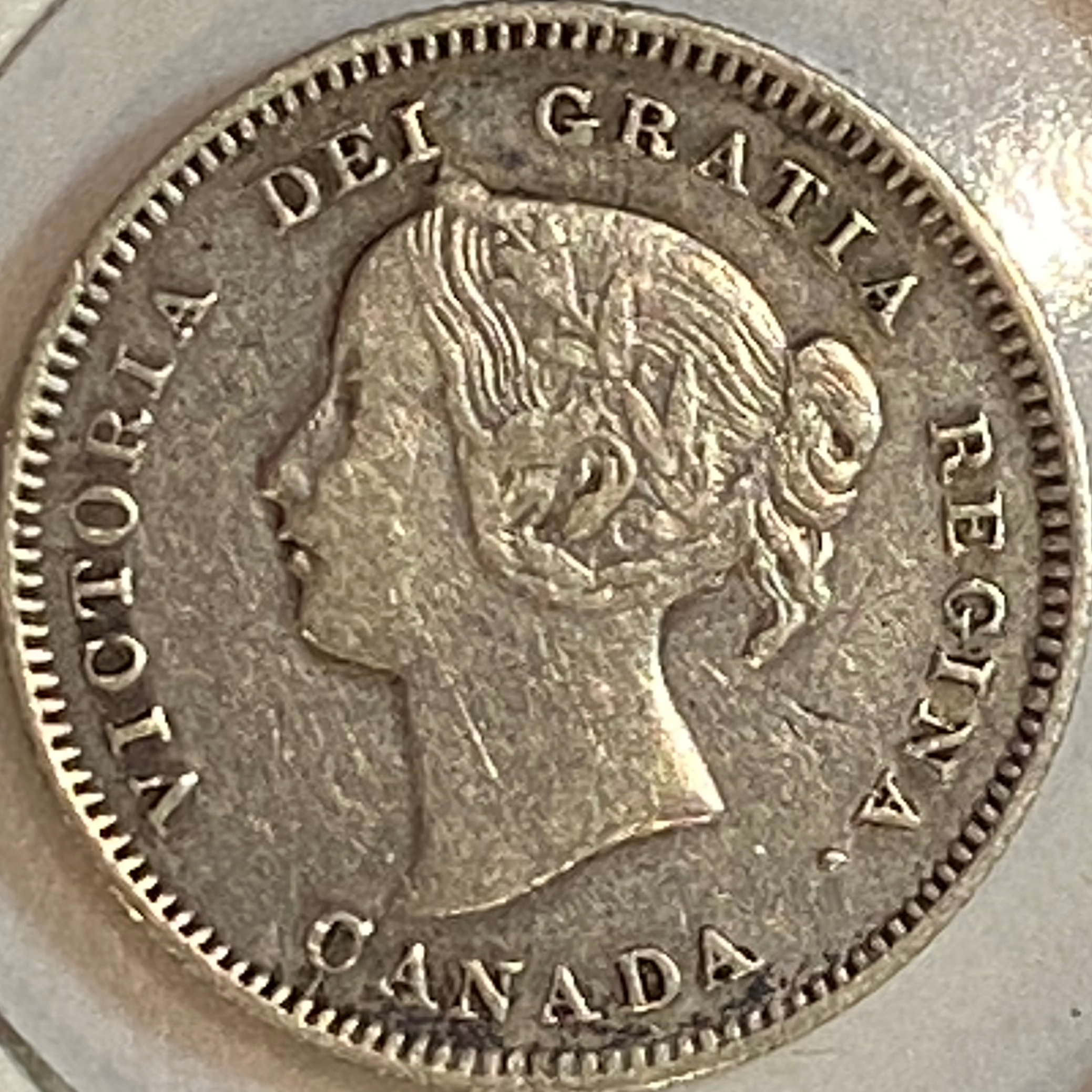 5-1901-1a.JPG