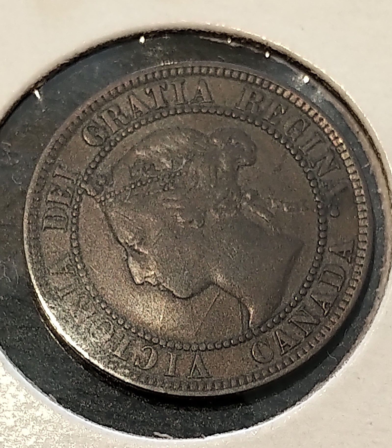 1893 obverse.jpg