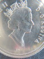 2000p back side of nickle.jpg