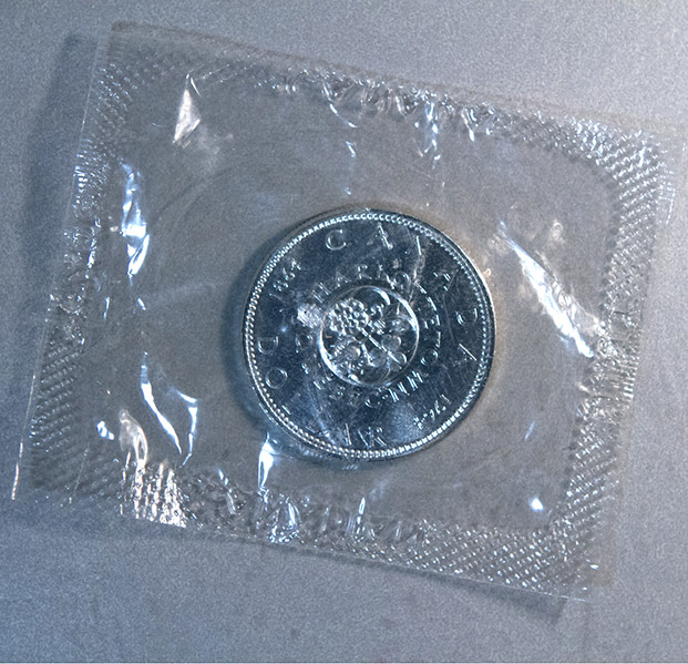 Silver dollars-10.jpg