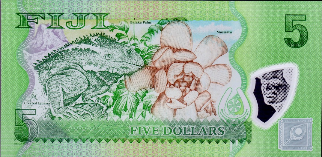 Fiji_$5_P115_r.jpeg